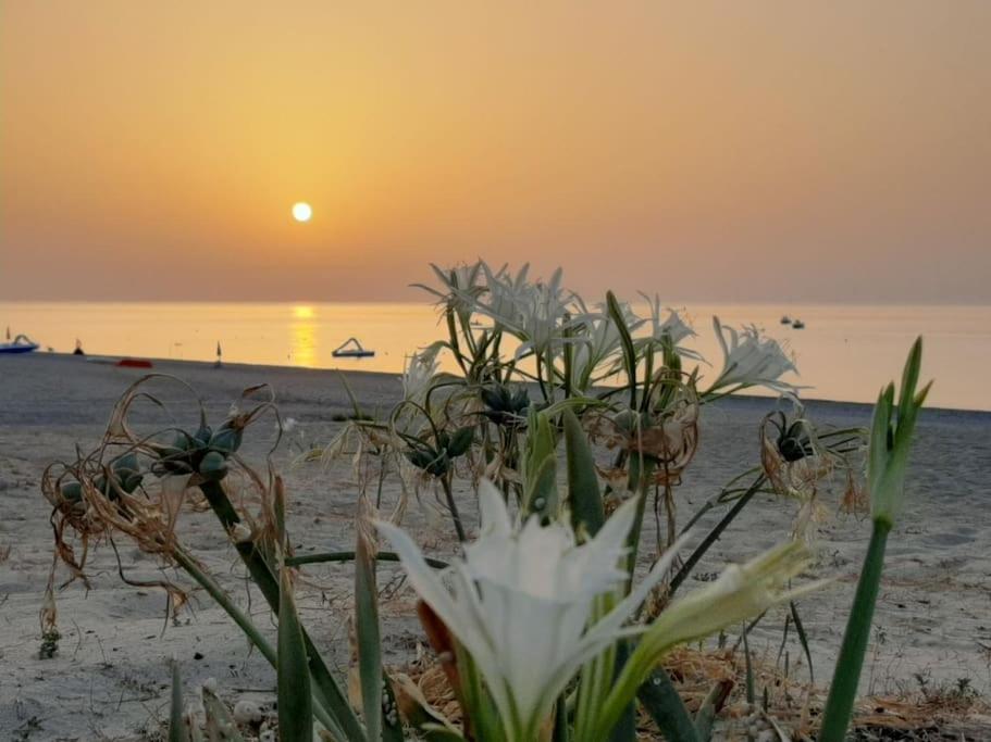 Casa Lulu Due Minuti Dal Mare Daire Ardore Marina Dış mekan fotoğraf