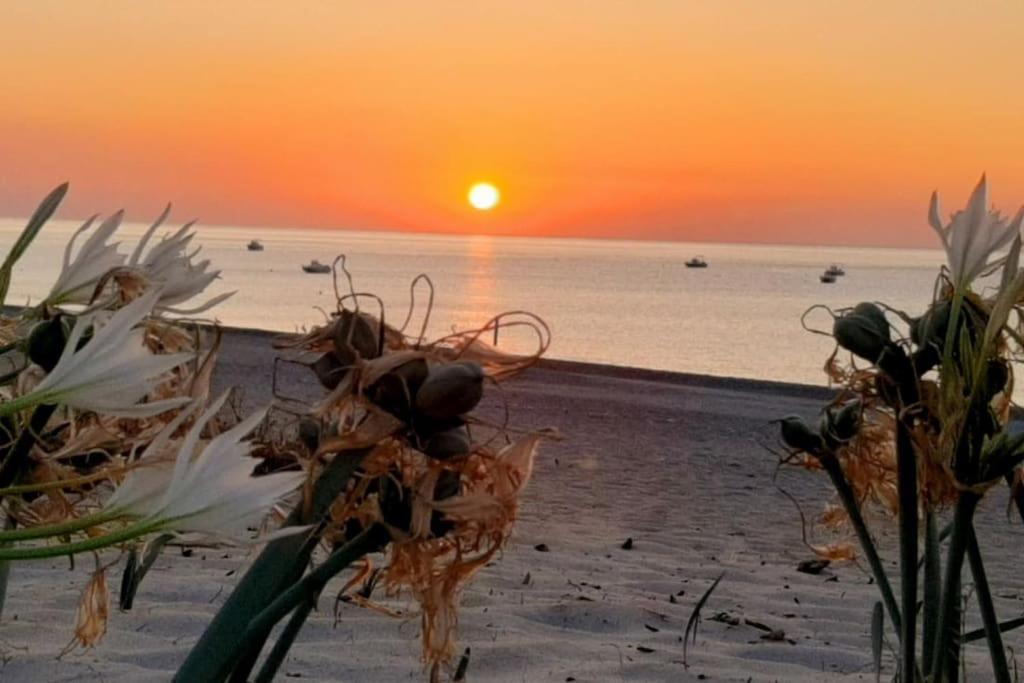 Casa Lulu Due Minuti Dal Mare Daire Ardore Marina Dış mekan fotoğraf